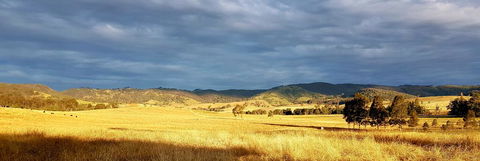 The Wattle Lodge - New Castle Holiday 1