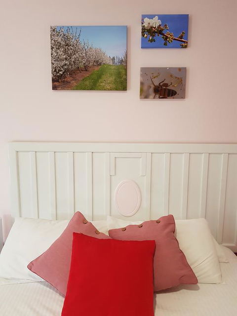 Town House Motor Inn Young - New Castle Holiday 1