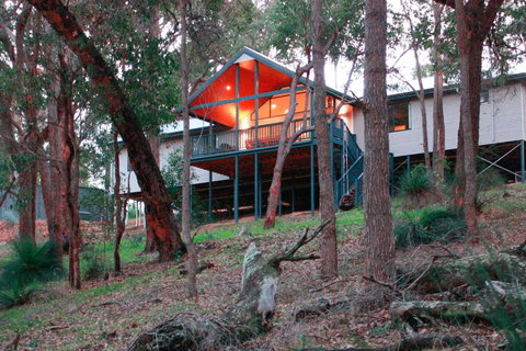 Treehouse - 3 Acre Elevated Nature Setting - New Castle Holiday 3