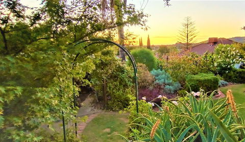 Treetops Escape - New Castle Holiday 1