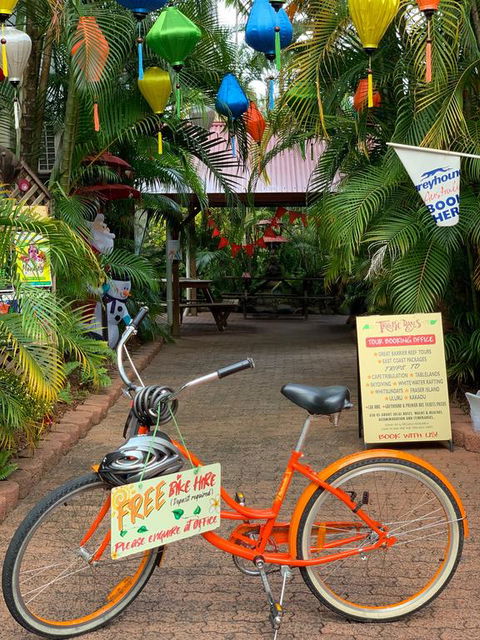 Tropic Days Boutique Hostel - New Castle Holiday 3