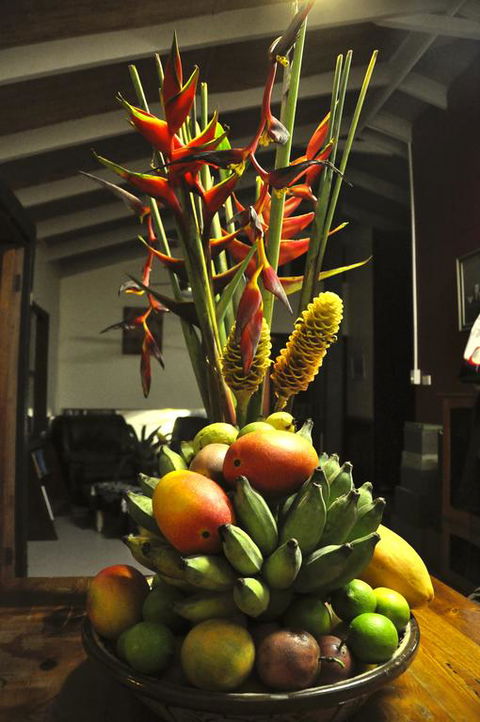 Tropical Bliss Bed And Breakfast - New Castle Holiday 3
