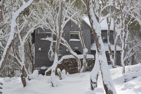 Tyee - New Castle Holiday 0