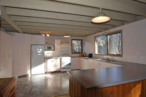 Tyee - New Castle Holiday 3