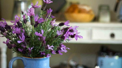 Vicarage View Cottage - New Castle Holiday 2