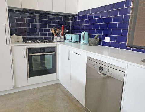 Vines And Stars - New Castle Holiday 3