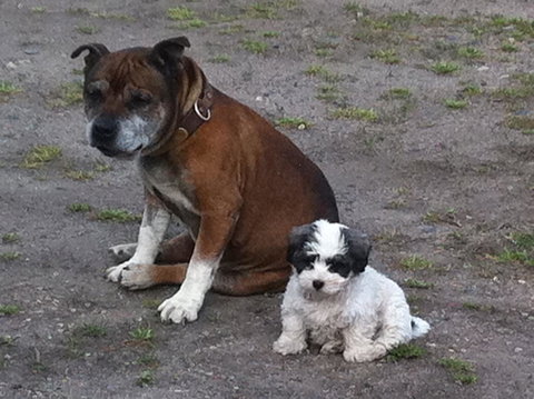 Walcha Royal Cafe & Accommodation - New Castle Holiday 3