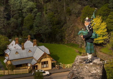 Walhalla Wild Cherry - New Castle Holiday 2