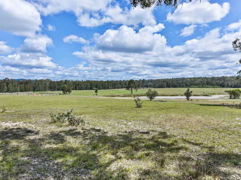 Wallaby Cottage - Cute Accom In Bushland Setting - New Castle Holiday 3
