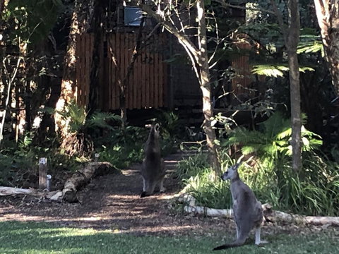 Wanderers Retreat - New Castle Holiday 2