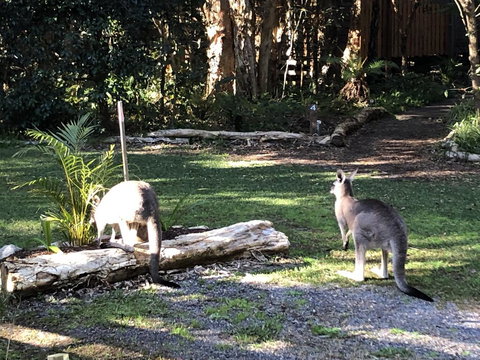 Wanderers Retreat - New Castle Holiday 3