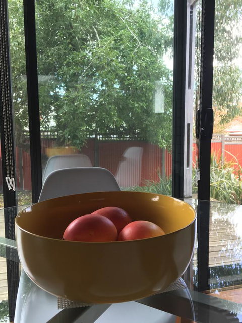 Daydream Cottage - New Castle Holiday 19