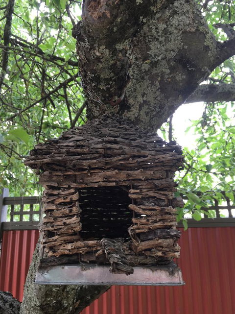 Daydream Cottage - New Castle Holiday 18