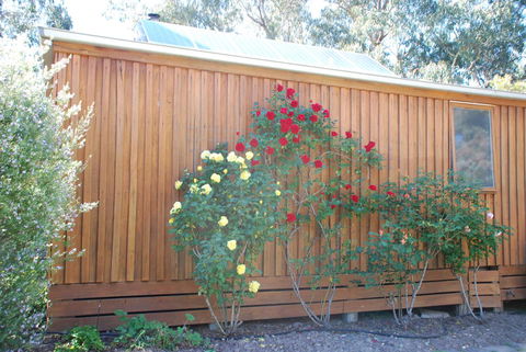 Bluegum Ridge Cottages - New Castle Holiday 23