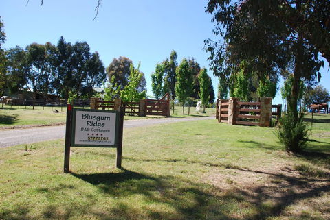 Bluegum Ridge Cottages - New Castle Holiday 1