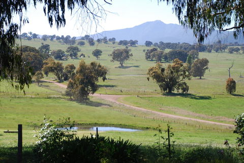 Bluegum Ridge Cottages - New Castle Holiday 31