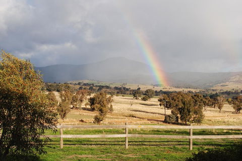 Bluegum Ridge Cottages - New Castle Holiday 32