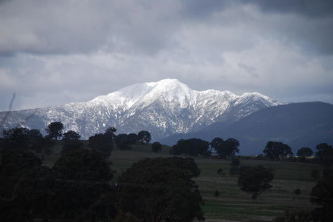 Bluegum Ridge Cottages - New Castle Holiday 35