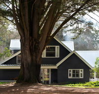 The Orchard - New Castle Holiday
