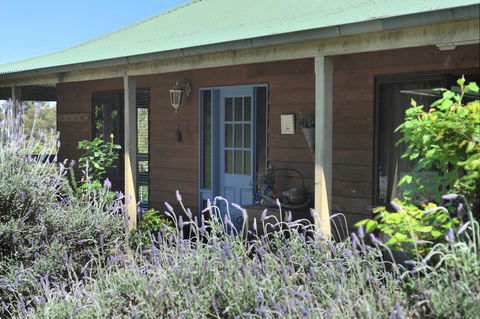 Lavender Farm - New Castle Holiday 8