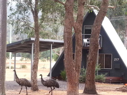 The A-Frame - New Castle Holiday 9