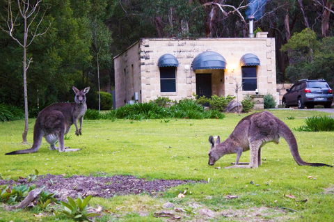 Marwood Villas - New Castle Holiday 0