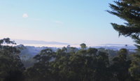 Book Monbulk Accommodation Vacations New Castle Holiday New Castle Holiday