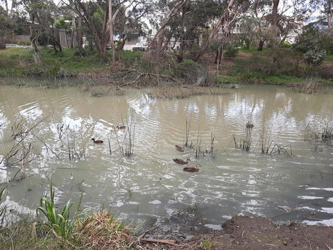 Elevated Holiday House Overlooks Tranquil Wetlands - New Castle Holiday 12