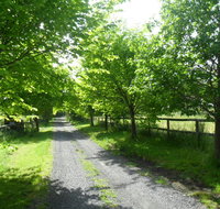 Australian Home Away  Wonga Park Brushy Creek - New Castle Holiday