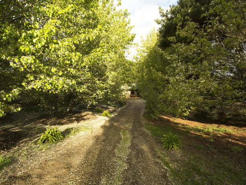 Angel's Rest - New Castle Holiday 0