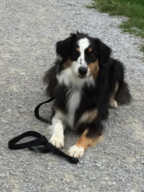 Bundjil Studio - New Castle Holiday 14