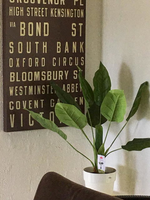 Nest On A Crest - New Castle Holiday 7