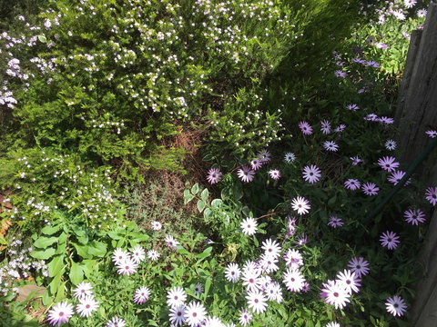 Nest On A Crest - New Castle Holiday 21