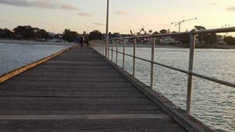 Nest On A Crest - New Castle Holiday 43