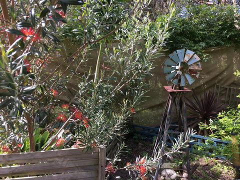 Nest On A Crest - New Castle Holiday 29