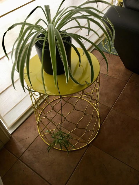 Nest On A Crest - New Castle Holiday 5