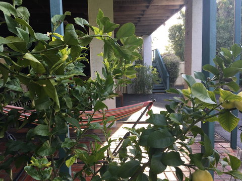 Nest On A Crest - New Castle Holiday 30