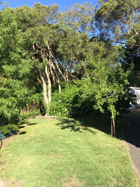 Nest On A Crest - New Castle Holiday 35