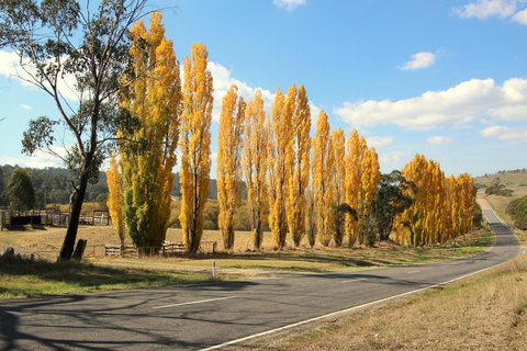 3 Bells Alpine Cottage - New Castle Holiday 20