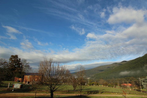 3 Bells Alpine Cottage - New Castle Holiday 26