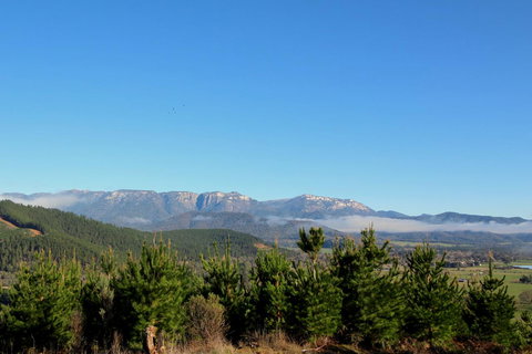 3 Bells Alpine Cottage - New Castle Holiday 22