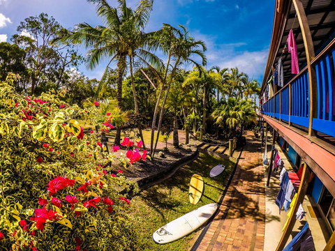 Cool Bananas Backpackers - New Castle Holiday 17