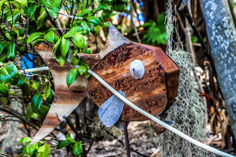 Cool Bananas Backpackers - New Castle Holiday 24