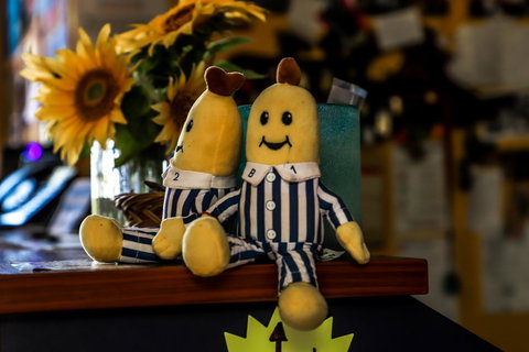 Cool Bananas Backpackers - New Castle Holiday 30