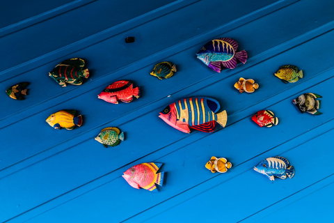 Cool Bananas Backpackers - New Castle Holiday 20