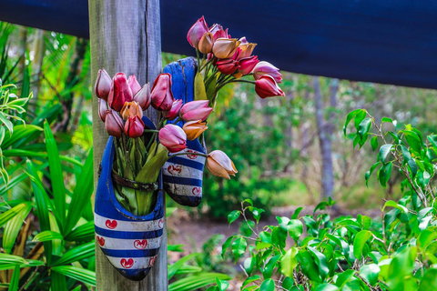 Cool Bananas Backpackers - New Castle Holiday 26