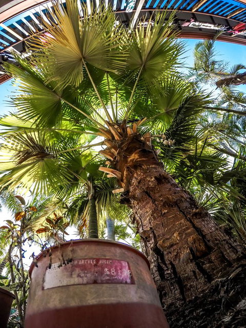 Cool Bananas Backpackers - New Castle Holiday 14