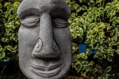 Cool Bananas Backpackers - New Castle Holiday 23