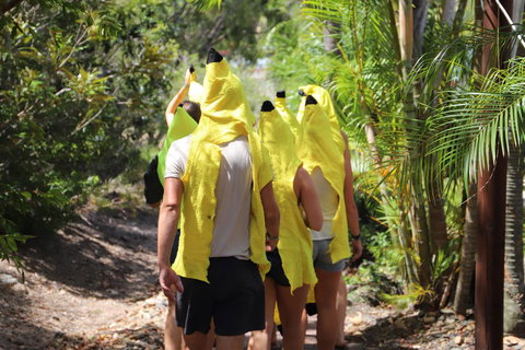 Cool Bananas Backpackers - New Castle Holiday 19