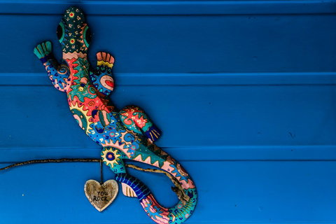 Cool Bananas Backpackers - New Castle Holiday 21